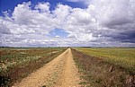 Jakobsweg (Camino Francés): Tierra de Campos (Meseta) - Castilla y León