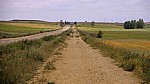 Jakobsweg (Camino Francés): Pilger auf der „Pilgerautobahn“ kurz vor Villalcázar de Sirga - Castilla y León