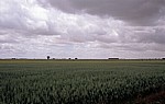 Jakobsweg (Camino Francés): Meseta - Weizenfelder - Castilla y León