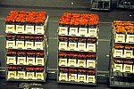 FloraHolland: Vertriebshalle – mit Rosen gef?llte Stapelwagen - Aalsmeer