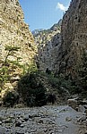 Samaria-Schlucht - Kreta