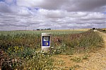 Jakobsweg (Camino Francés): Meseta - Weizenfelder - Castilla y León