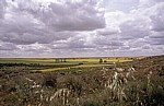 Jakobsweg (Camino Francés): Wolken über der Meseta - Castilla y León