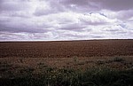 Jakobsweg (Camino Francés): Calzada Romana - Wolken über einem gepflügten Acker - Castilla y León