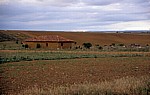 Jakobsweg (Camino Francés): Meseta – Calazada Romana: Haus in Adobe-Bauweise - Castilla y León