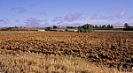Jakobsweg (Camino Francés): Meseta – Calzada Romana - Castilla y León