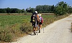 Jakobsweg (Camino Francés): Pilger auf dem Weg nach Mansilla de las Mulas - Castilla y León