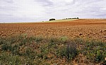 Jakobsweg (Camino Francés): Umgepflügte Felder - Castilla y León