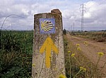 Jakobsweg (Camino Francés): Camino-Wegstein - Castilla y León