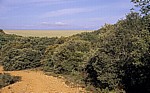 Jakobsweg (Camino Francés): Landschaft auf dem Weg nach Santo Toribio - Castilla y León