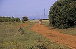 Jakobsweg (Camino Francés): Pilger auf dem Weg nach Santo Toribio - Castilla y León