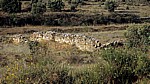 Jakobsweg (Camino Francés): Maragatería - Verfallene Steinmauer - Castilla y León