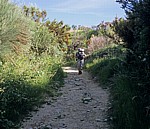 Jakobsweg (Camino Francés): Pilger auf dem Weg nach O Cebreiro - Castilla y León