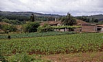 Jakobsweg (Camino Francés): Farmhaus - Pontecampaña