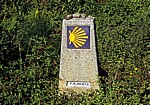 Jakobsweg (Caminho Português): Zwischen San Mauro und Tivo - Camino-Wegstein  - Galicia
