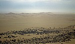 Flug über die Namib: Dünenlandschaft - Namib