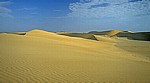 Dünenlandschaft - Namib