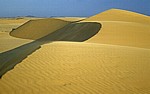 Dünenlandschaft - Namib