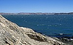 Blick von der Haifischinsel auf die Küste (nördlich von Lüderitz) - Lüderitz