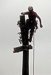 Baumfäller bei der Arbeit von Fällen von Pyramidenpappeln (Säulenpappel / Spitzpappel / Italienische Pappel, Populus nig - Osnabrück