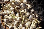 Viktualienmarkt: Knoblauch - München