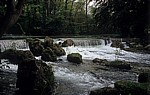 Englischer Garten: Eisbach - München