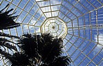 Sefton Park: Palm House (Palmenhaus) - Blick durch das Dach - Liverpool