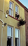 Tannenbaum, der aus dem Fenster fliegt - Liverpool