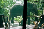 Kwara Camp: Afrikanischer Elefant (Loxodonta africana) vor dem Zelt   - Okavango-Delta