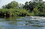 Popa Game Park: Popa Falls (Popafälle) - Stromschnellen - Kavango