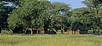 Ombili: San-Dorf - Oshikoto