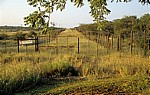 Grenzsstreifen zwischen Weideland (links) und dem Etosha National Park (rechts)  - Oshikoto