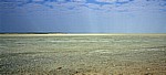Etoshapfanne - Etosha Nationalpark