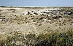 Etoshapfanne - Etosha Nationalpark