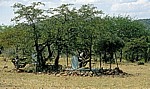 Himba-Gräber - Kunene