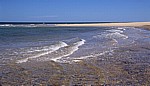 Blakeney National Nature Reserve: Blakeney Point - Strand - Norfolk