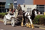 Princes Parade: Pferdekutsche für Touristen - Liverpool