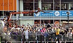 Strand Street: Sea Odyssey - Giant Spectacular (Royal de Luxe): Hund Xolo läuft durch die Zuschauermenge  - Liverpool