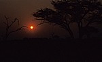 Sonnenuntergang - Hwange National Park