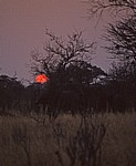 Sonnenuntergang - Hwange National Park