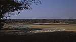 Wasserstelle - Hwange National Park