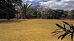 National Botanic Garden: Vegetation - Harare