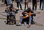 Straßenmusiker - Harare