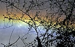Zweige vor einem Regenbogen - Victoriafälle