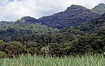 Blick auf den Udzungwa Mountains National Park mit den Sanje Falls (Wasserfälle) - Morogoro Region