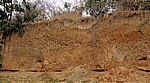 Steilufer mit Bienenfresser-Nestanlage (Höhlen) - Rufiji