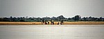 Menschen am Ufer: Alltagsszene - Rufiji