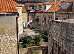 Stari Grad (Altstadt): Blick von der Stadtmauer - Wohnhäuser und Hinterhofgärten - Dubrovnik