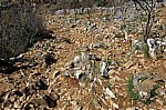 Podbrdo: Weg auf den Erscheinungsberg - Medjugorje